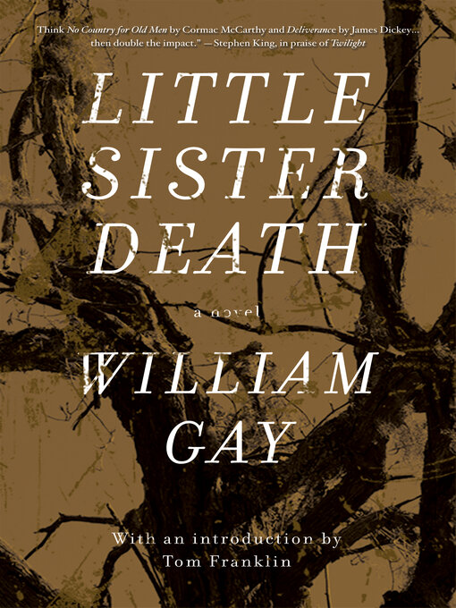 Title details for Little Sister Death by William Gay - Wait list